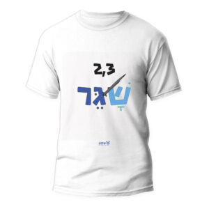 2--3 שגר