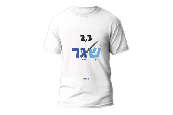 2--3 שגר