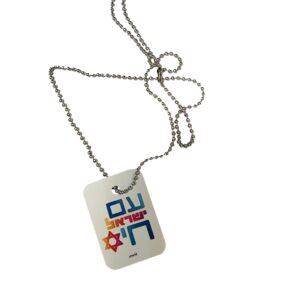 דיסקית חייל